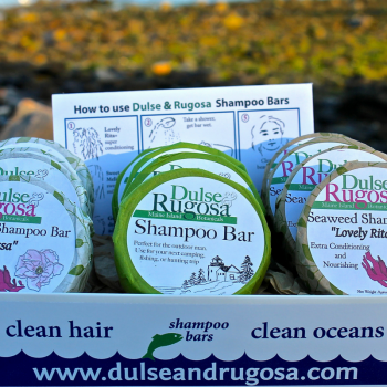 Maine Seaweed Shampoo Bars